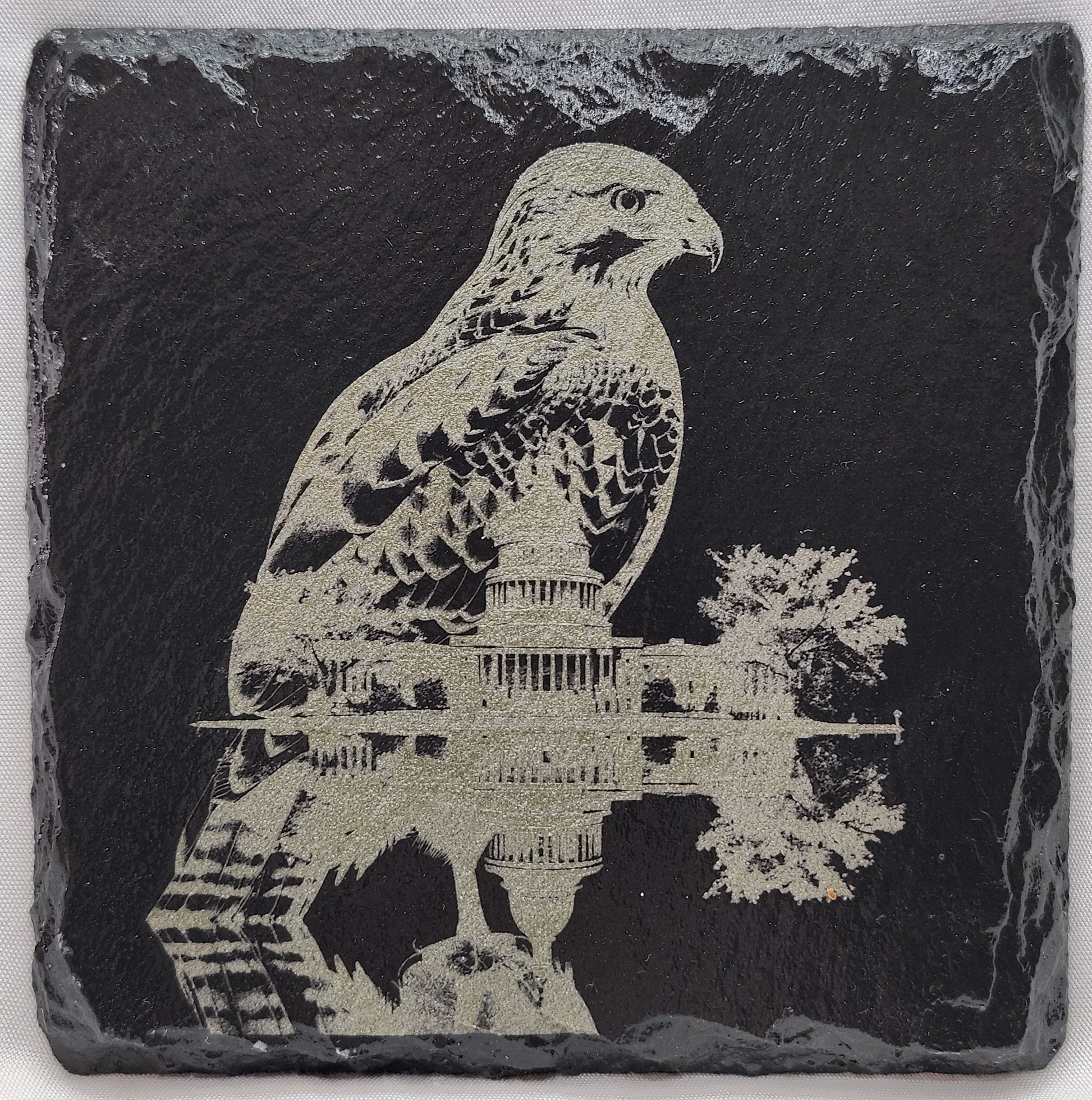 Eagle Collection (4 Coasters)