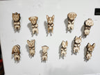 Wobbly Dog Magnets
