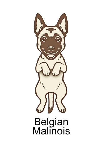 Wobbly Dog Magnets