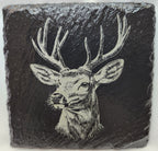 Deer Collection (4 Coasters)