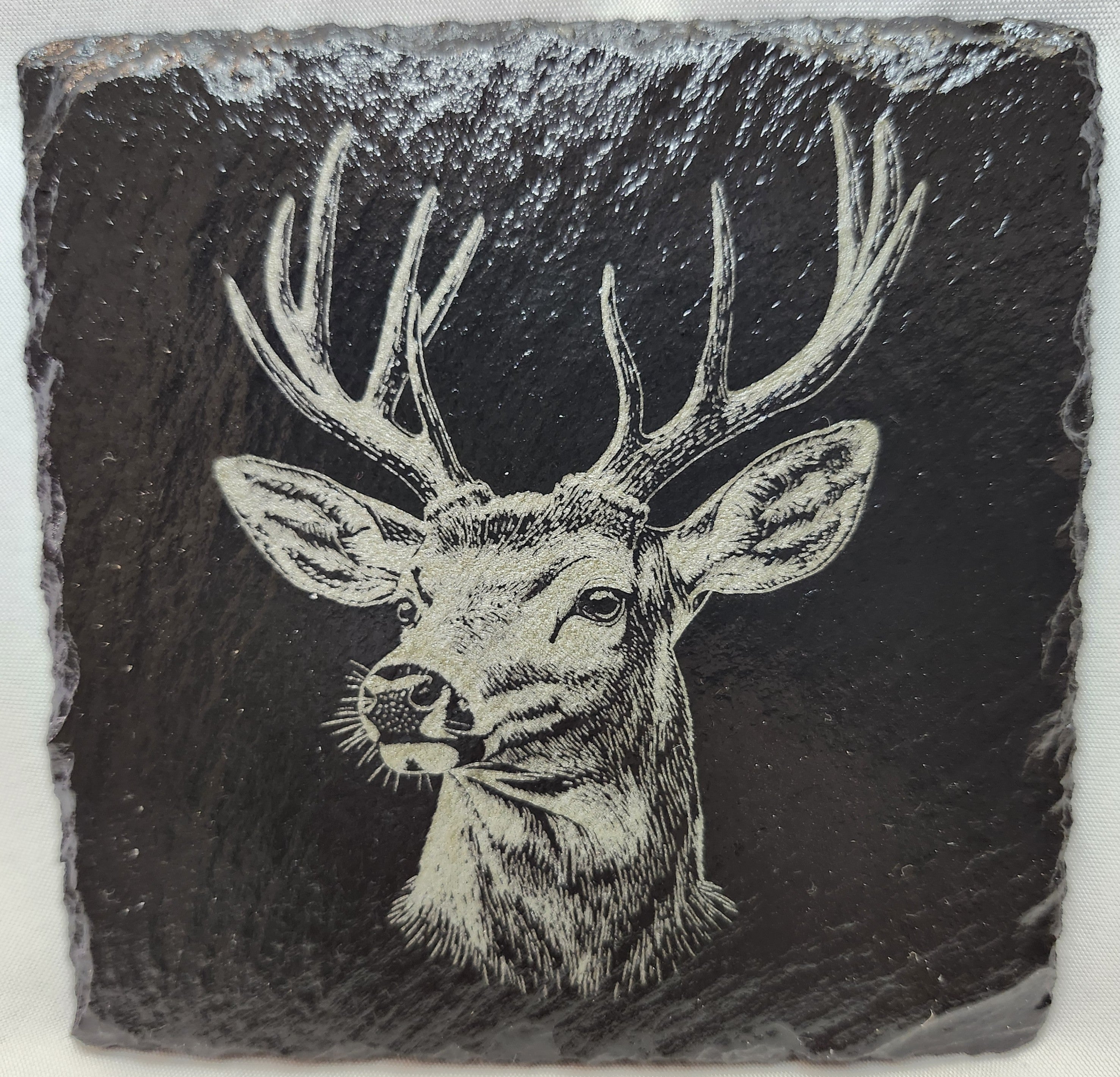 Deer Collection (4 Coasters)