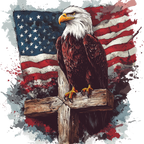 Eagle on cross in front of flag T-Shirt