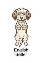 Wobbly Dog Magnets