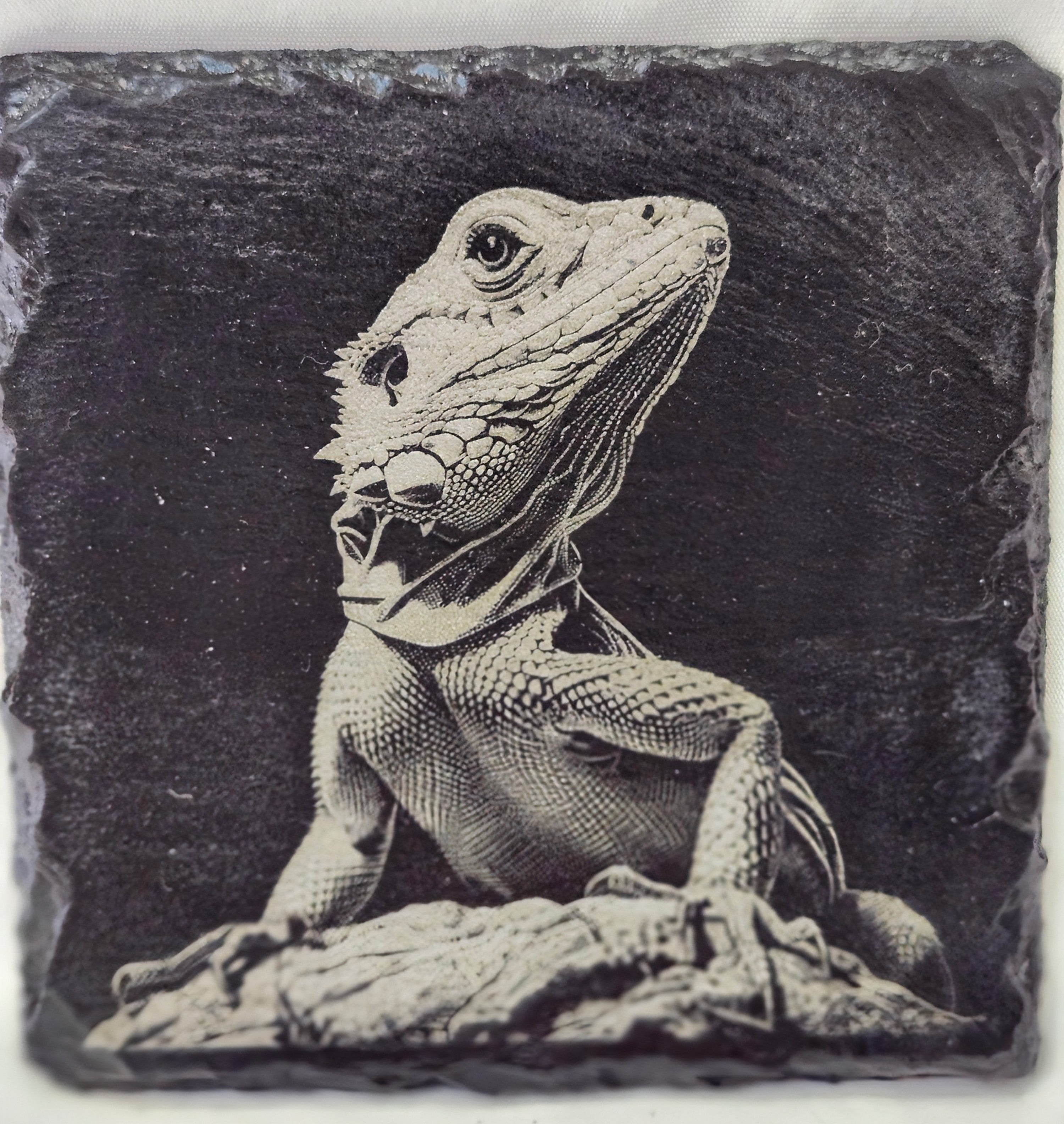 Lizard Slate Coaster