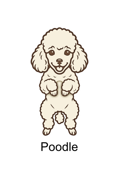 Wobbly Dog Magnets