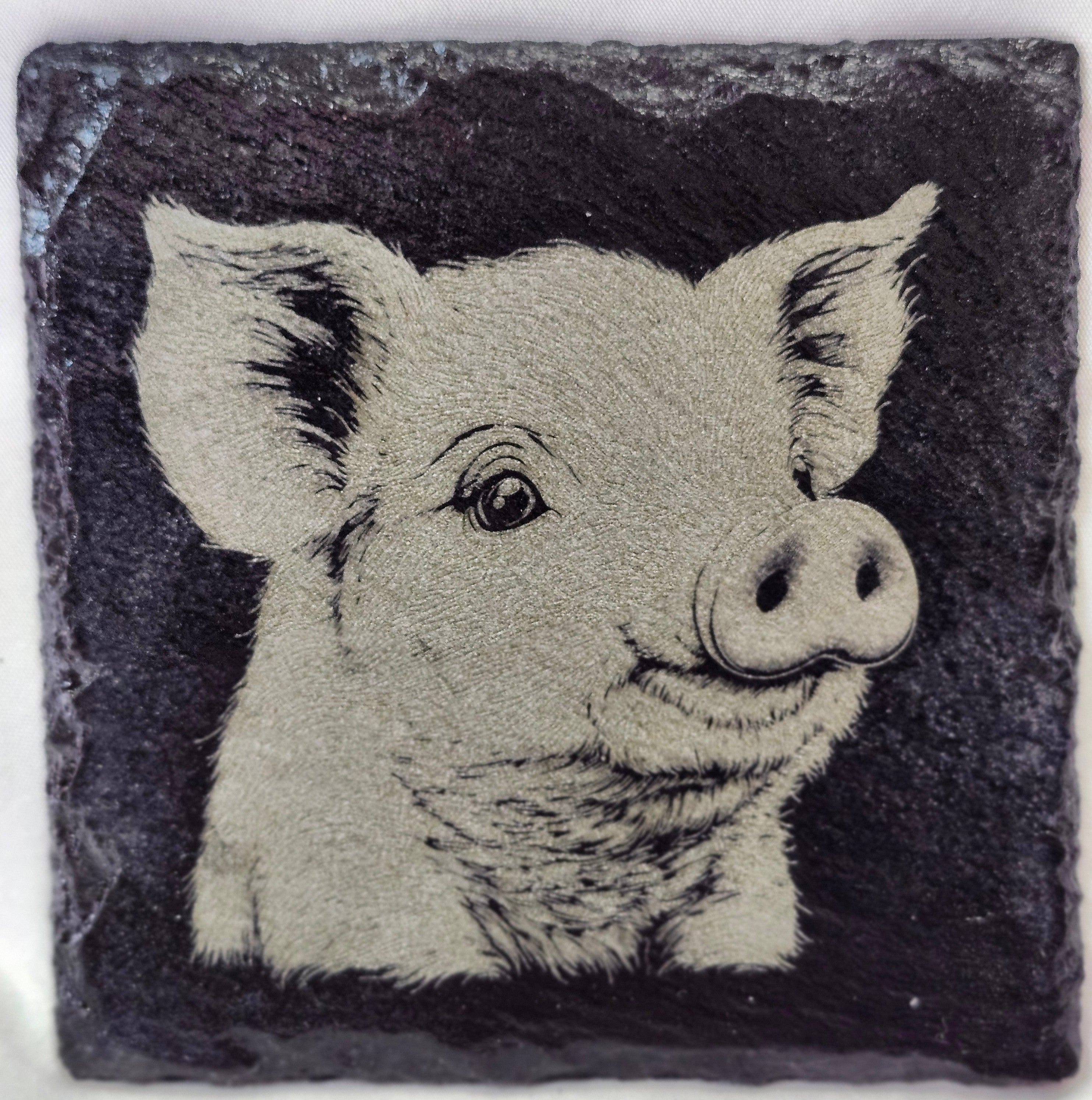 Baby Pig Slate Coaster