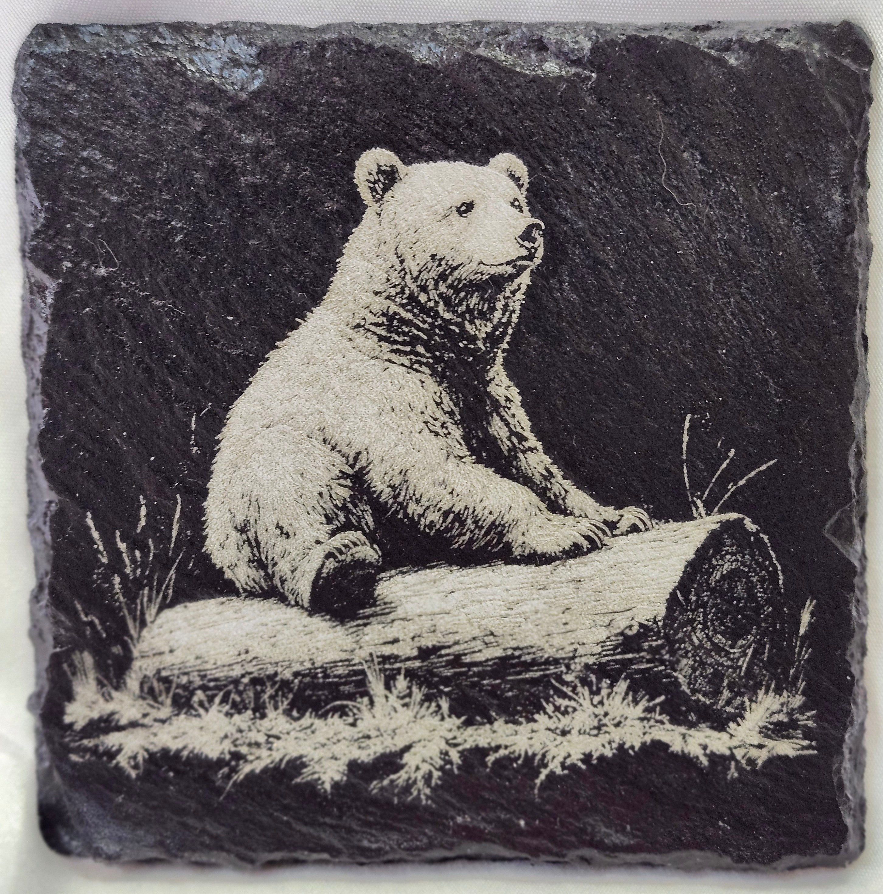 Bear on a log Slate Coaster