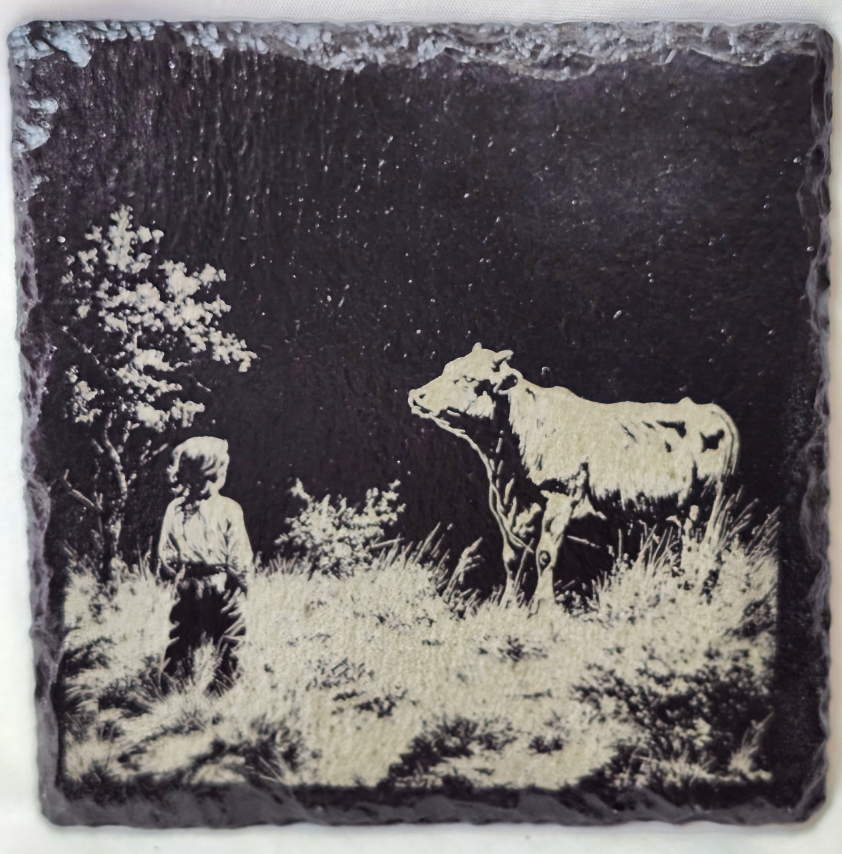 Cowboy Coaster Collection (4 Coasters)