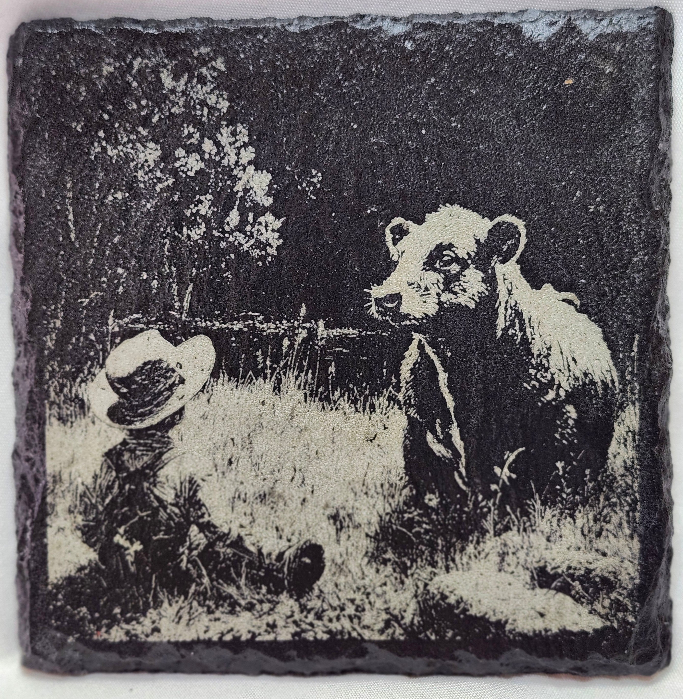 Cowboy Coaster Collection (4 Coasters)