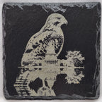 Eagle Collection (4 Coasters)