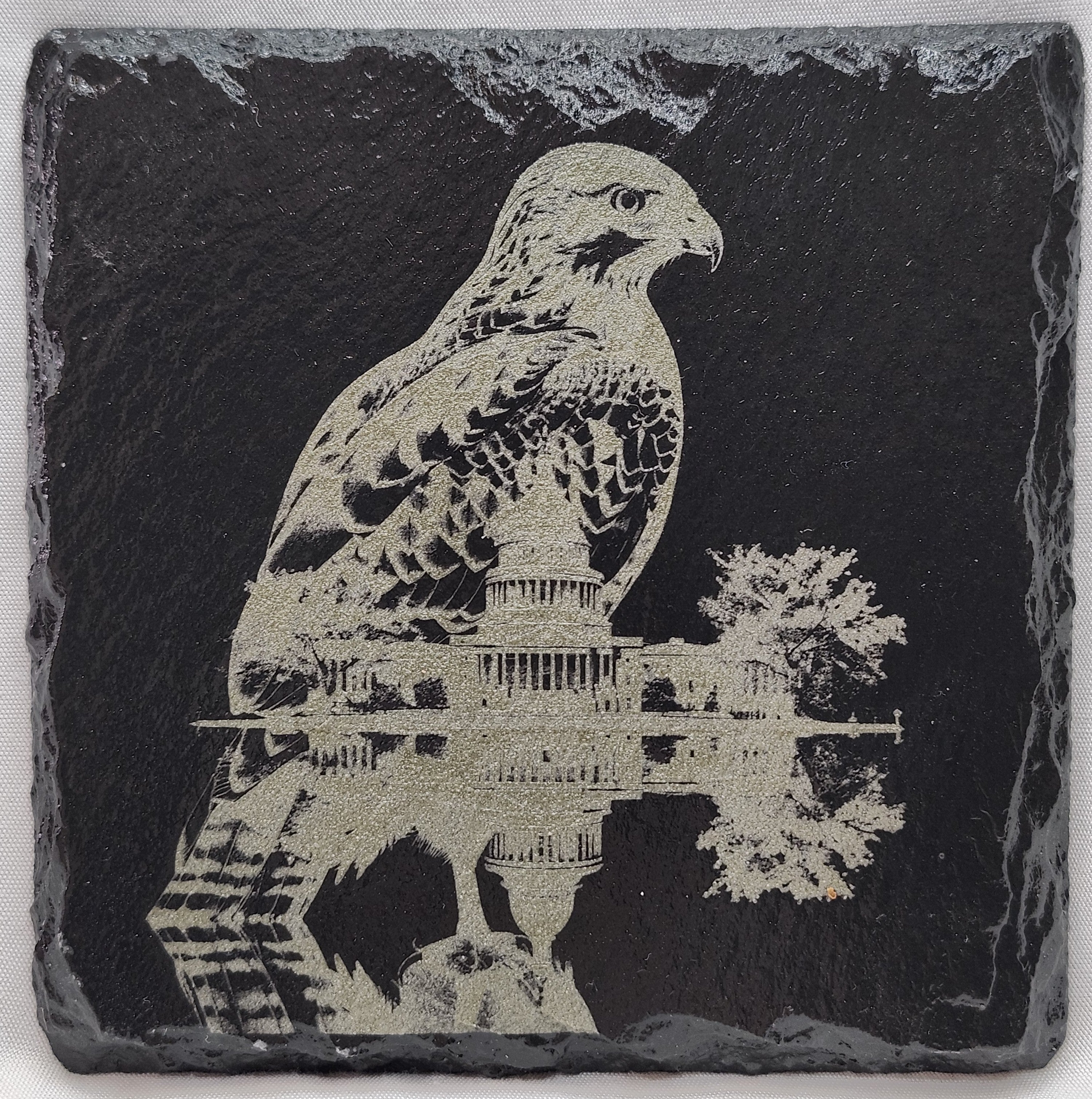 Eagle Collection (4 Coasters)