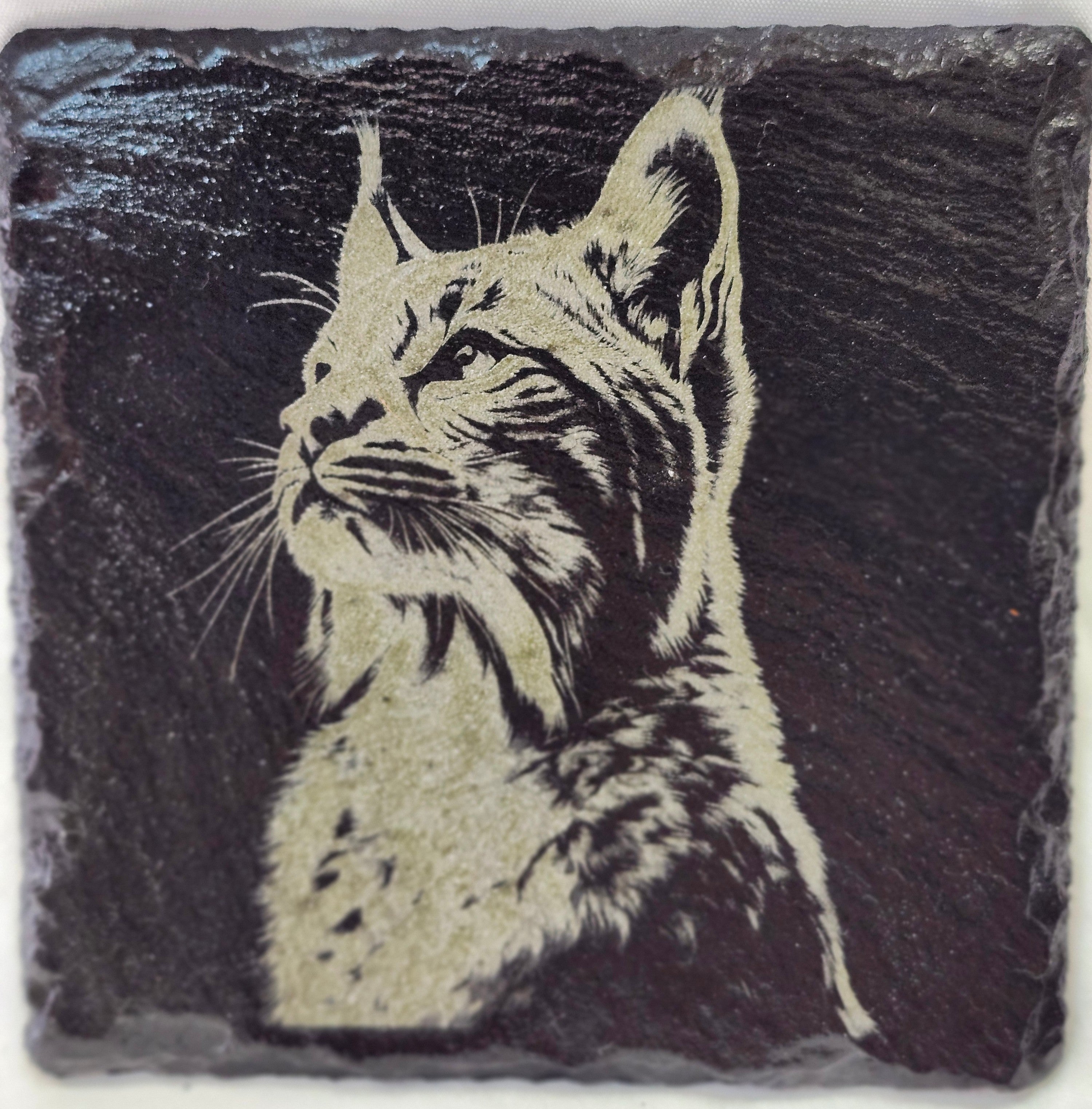 Linx Slate Coaster